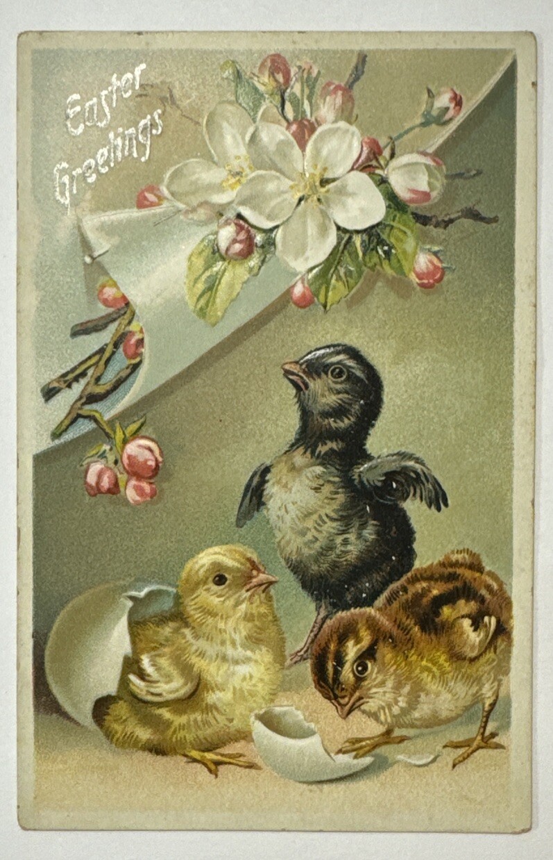 Tuck's Easter Post Card Series Baby Chicks Egg Embossed Postcard
