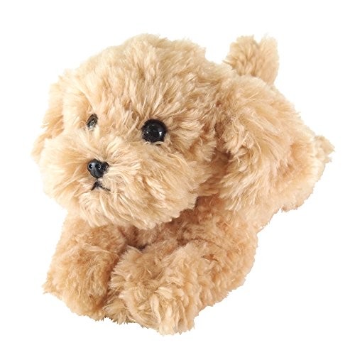 Kneeling Toy Poodle Beige Plush