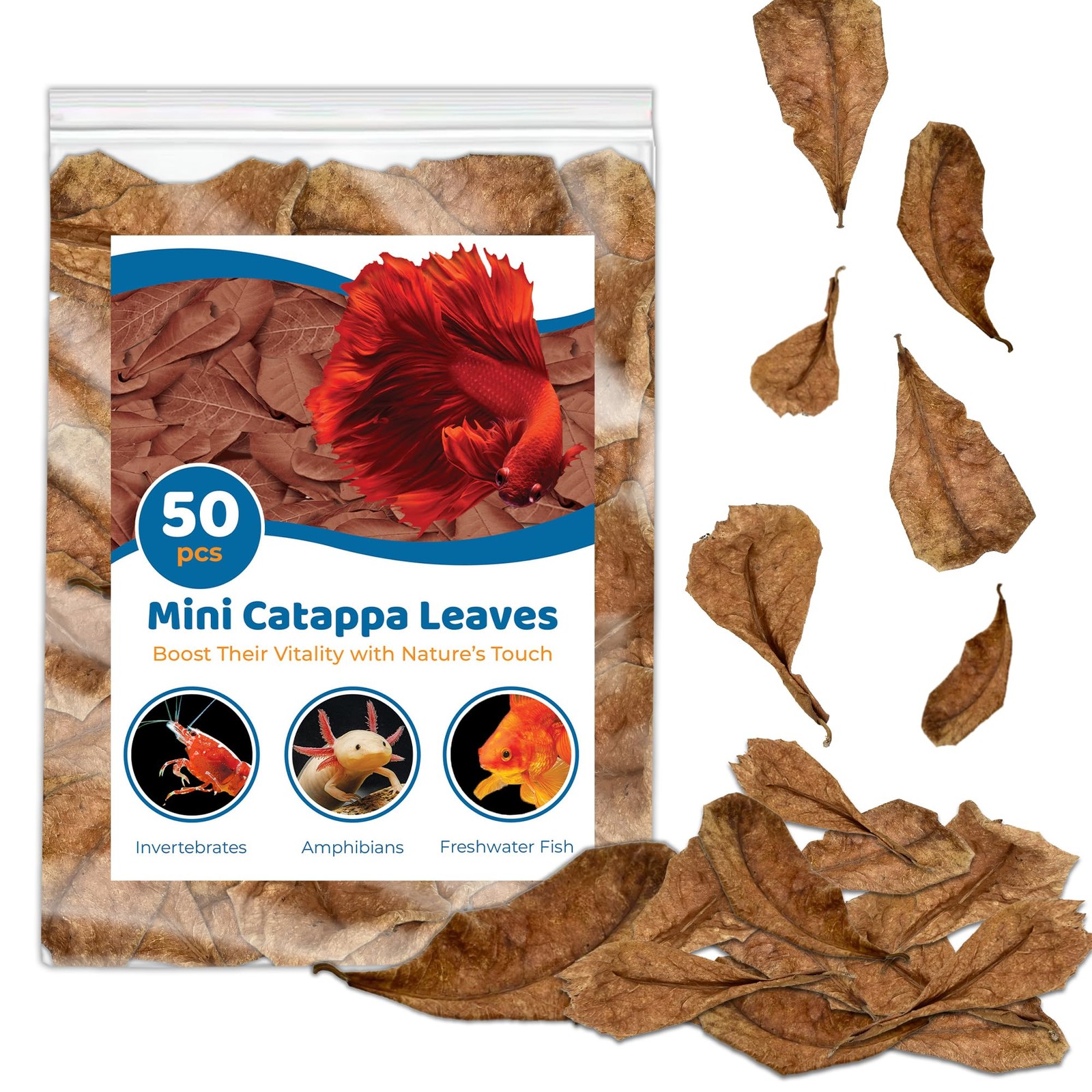 SunGrow 50 Pcs Mini Catappa Indian Almond Leaves for 2 Inch (Pack of 50) 