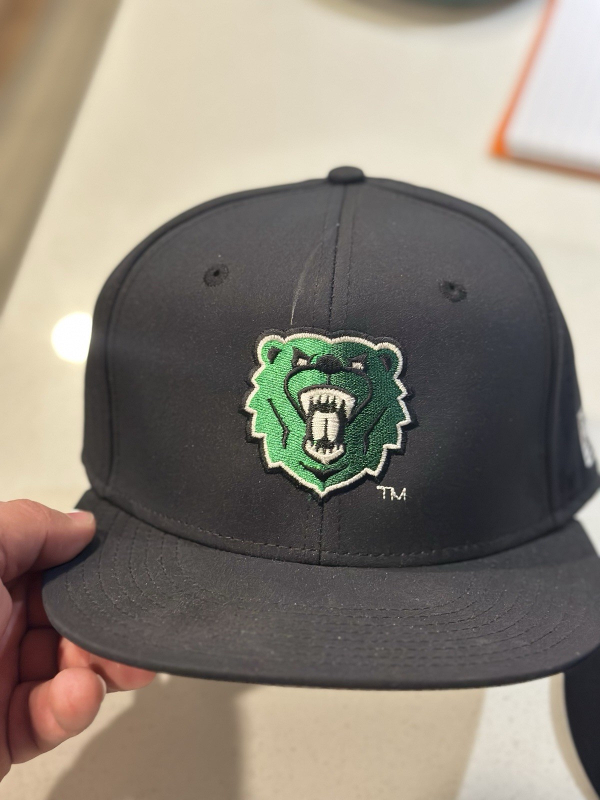 NWOT The Game UW-Parkside Baseball Hat Team Issued Sz M