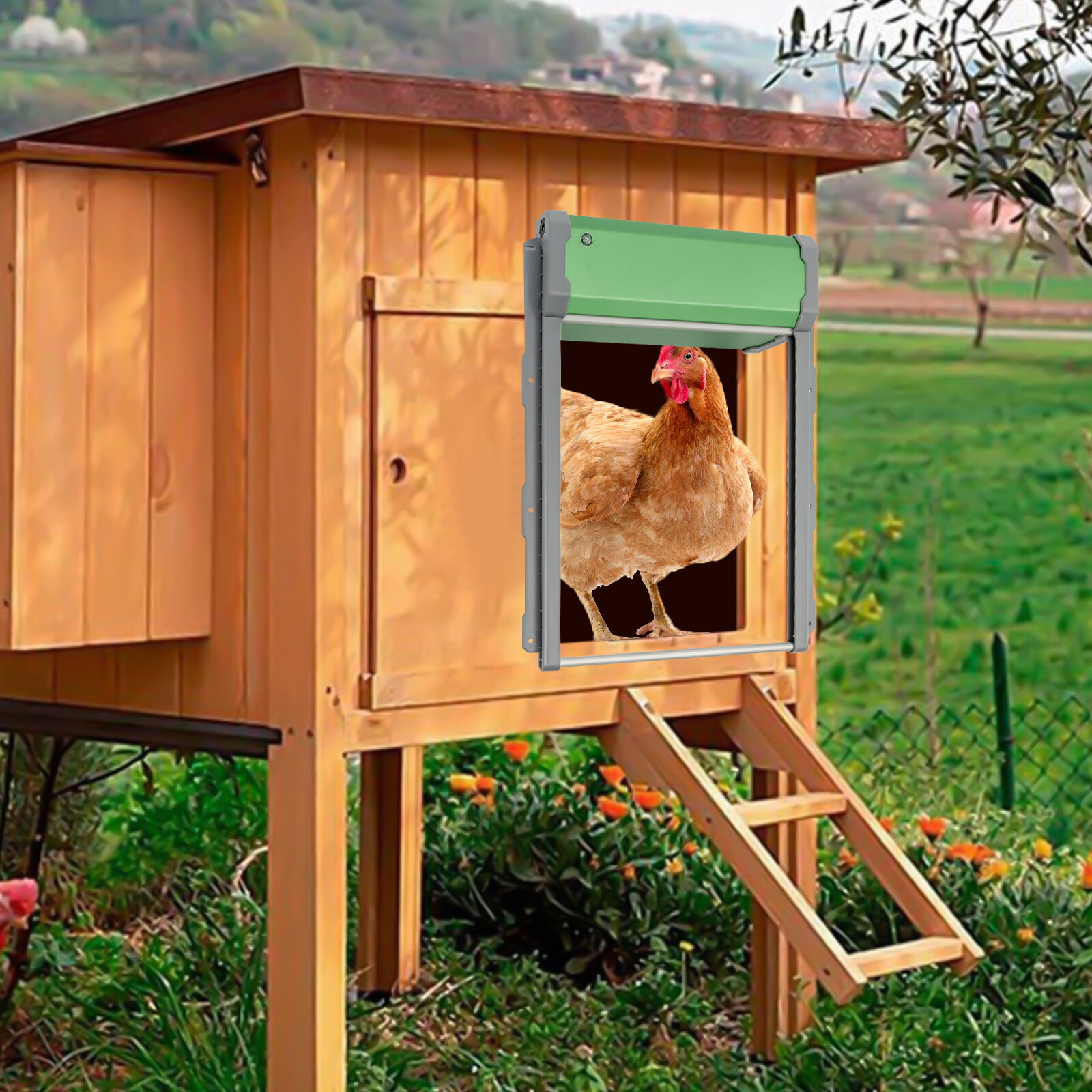 Automatic Chicken Coop Door Solar Powered, Extra Large Size, Anti-Pinch Design,