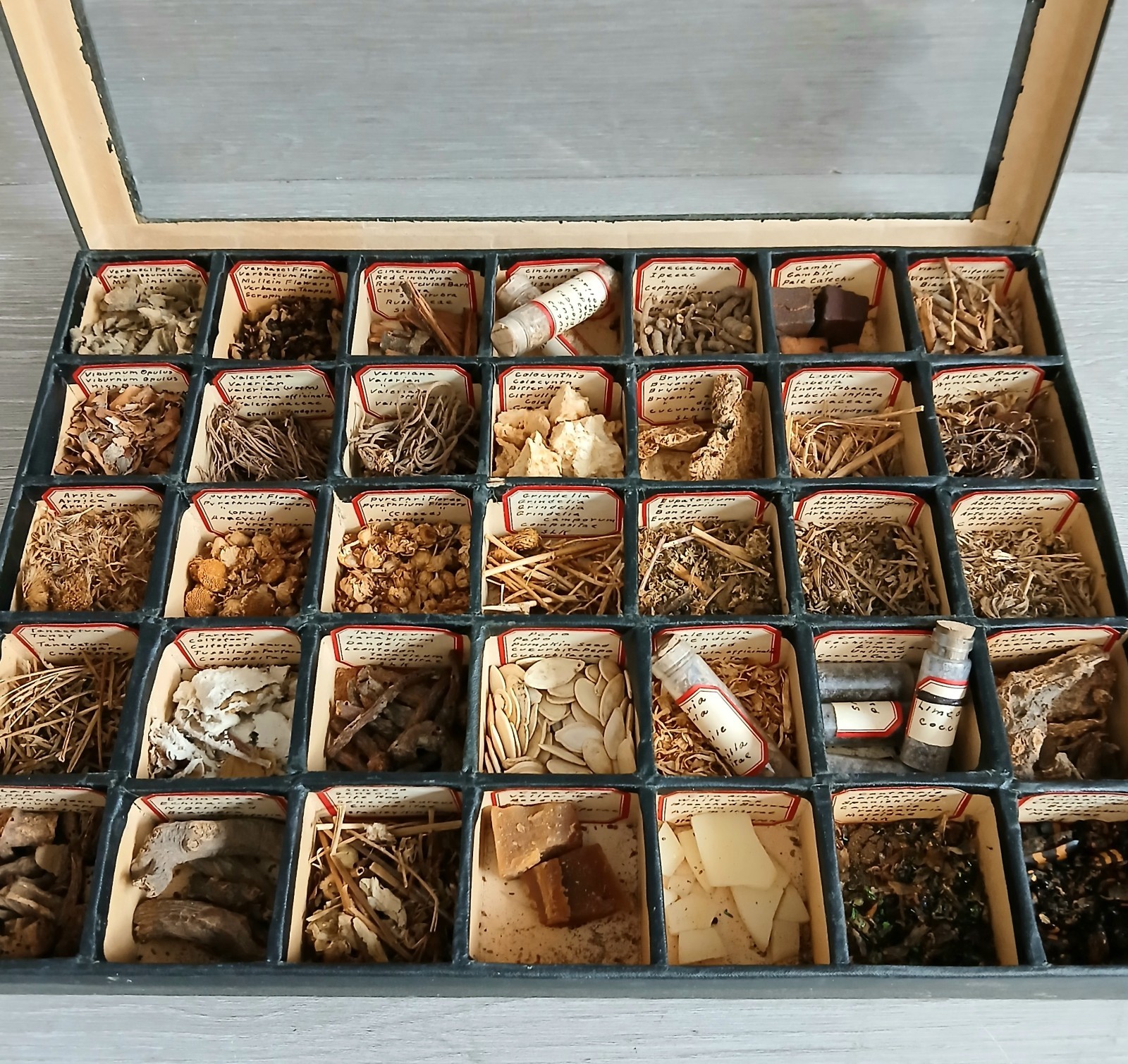 Vintage Herbal Apothecary Dried Specimen Medicine Kit 1900s Case Oddity Science 