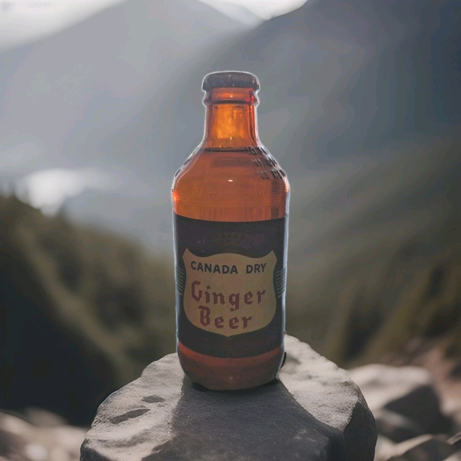 Rare Canada Dry Ginger Beer Stubby Bottle Full