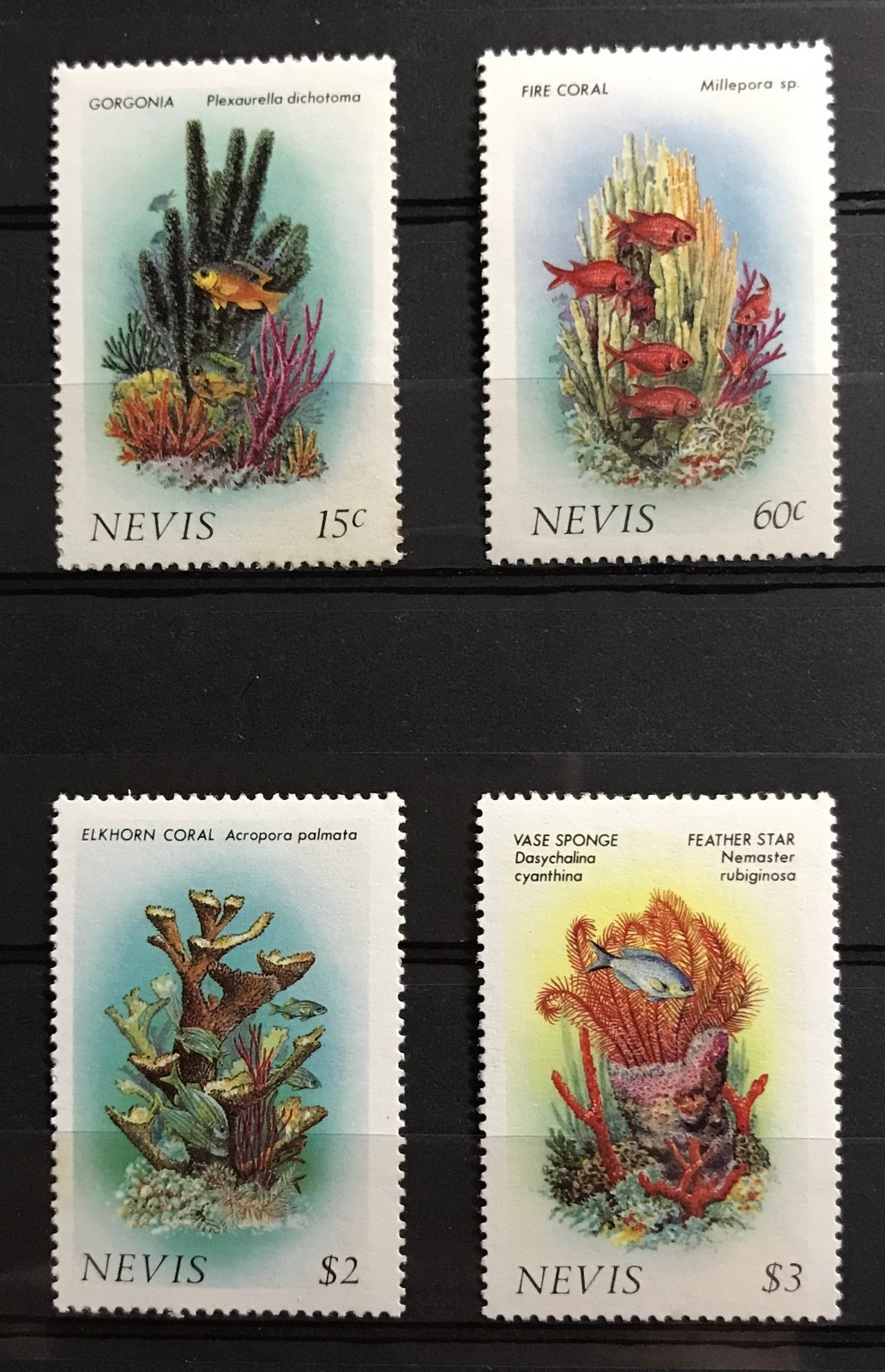 NEVIS -  1986 CORALS (2ND SERIES) NHM SET SG 423 - 426