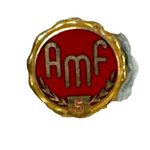VTG Enameled Pin AMF 5 years- TB