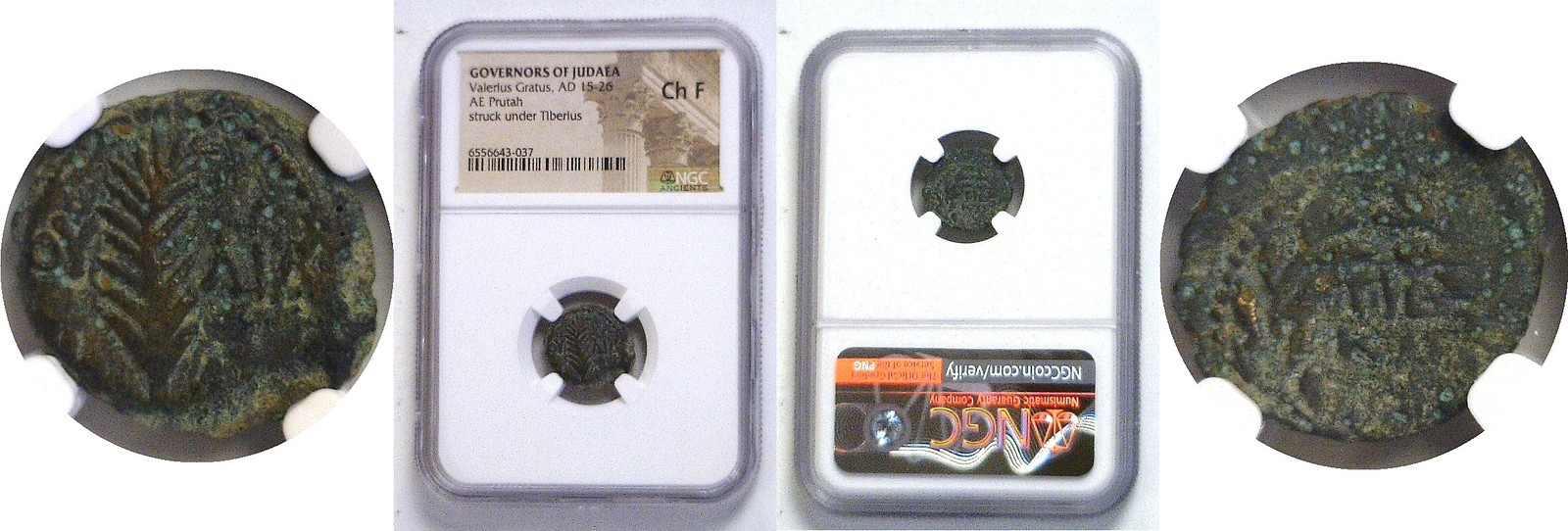 15-26 AD  ROMAN. Bronze Prutah. NGC. Valerius Gratus.