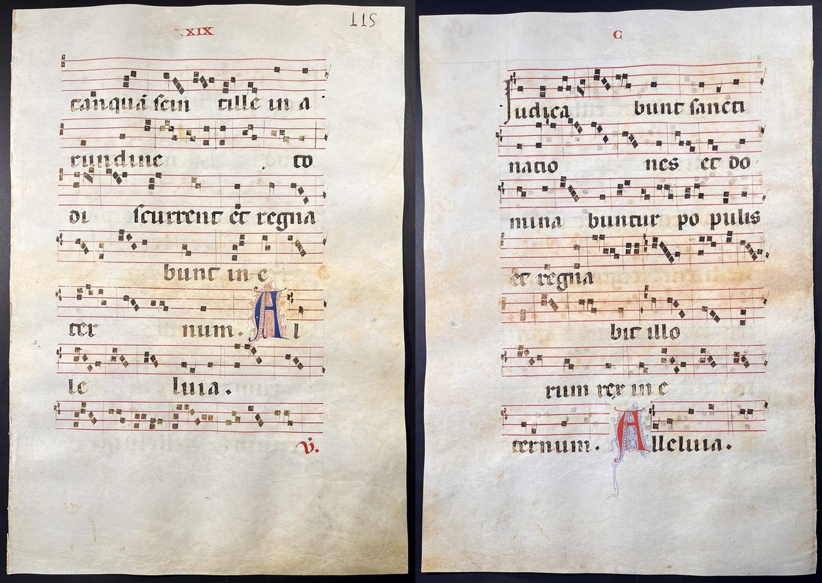 Antiphonary Vellum Manuscript 15th Century A121