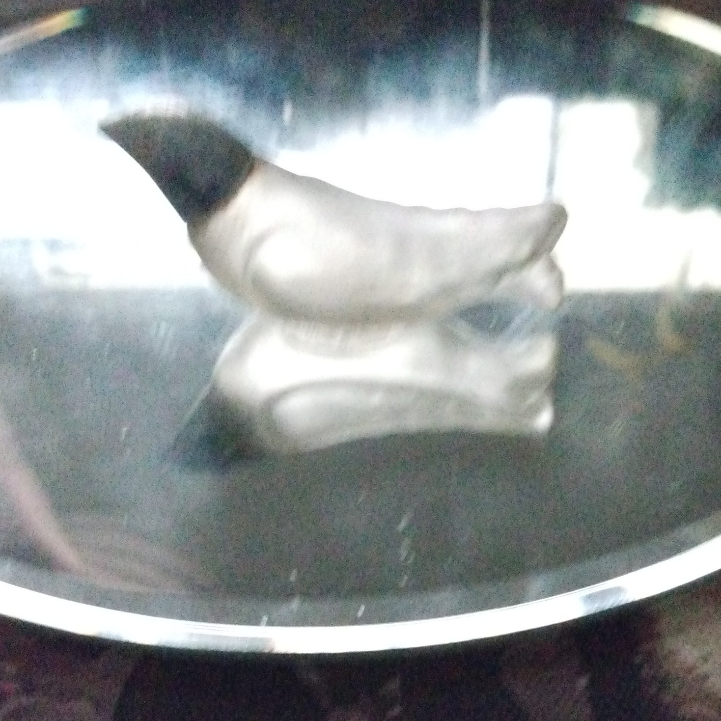 Holm Clear Black Glass Bird Decorative Glossy Figurine Impressed Backstamp