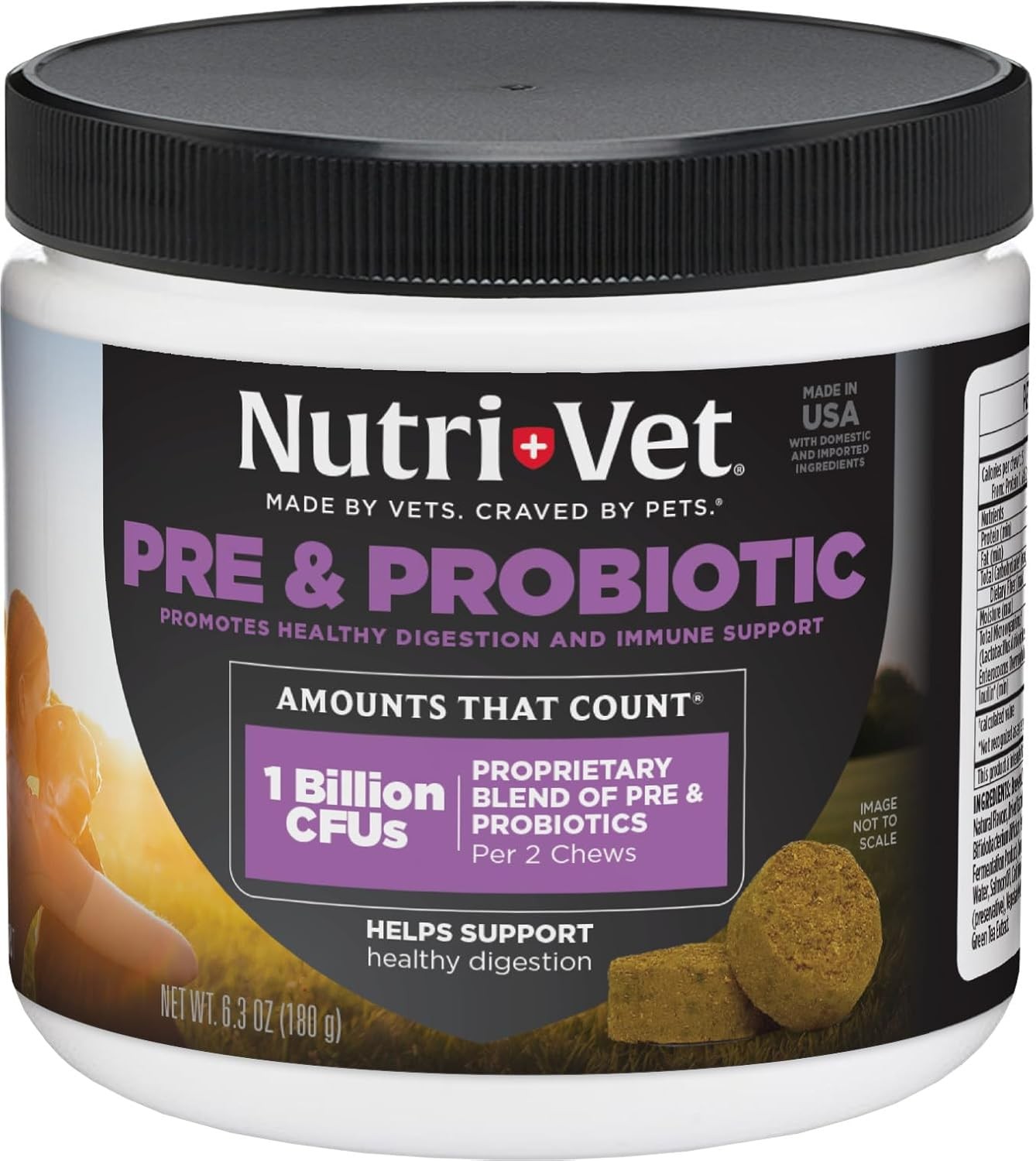 Nutri-Vet Pre & Probiotics for Dogs, Digestive Support, Upset Stomach, Puppy Pro