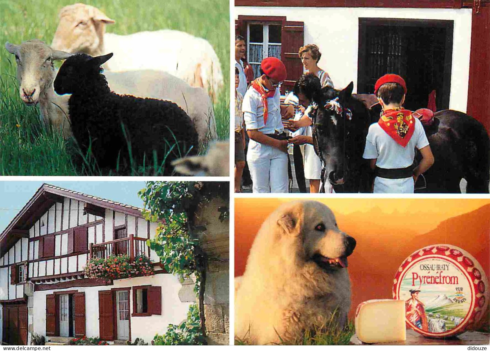 Postcard - Crafts - Cheese - Cheeses - Cheese Factory - Ossau - Le Conseil -