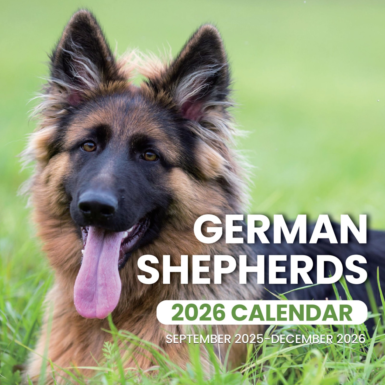 SUNEE Wall Calendar 2026, German Shepherd Dog Medium, 