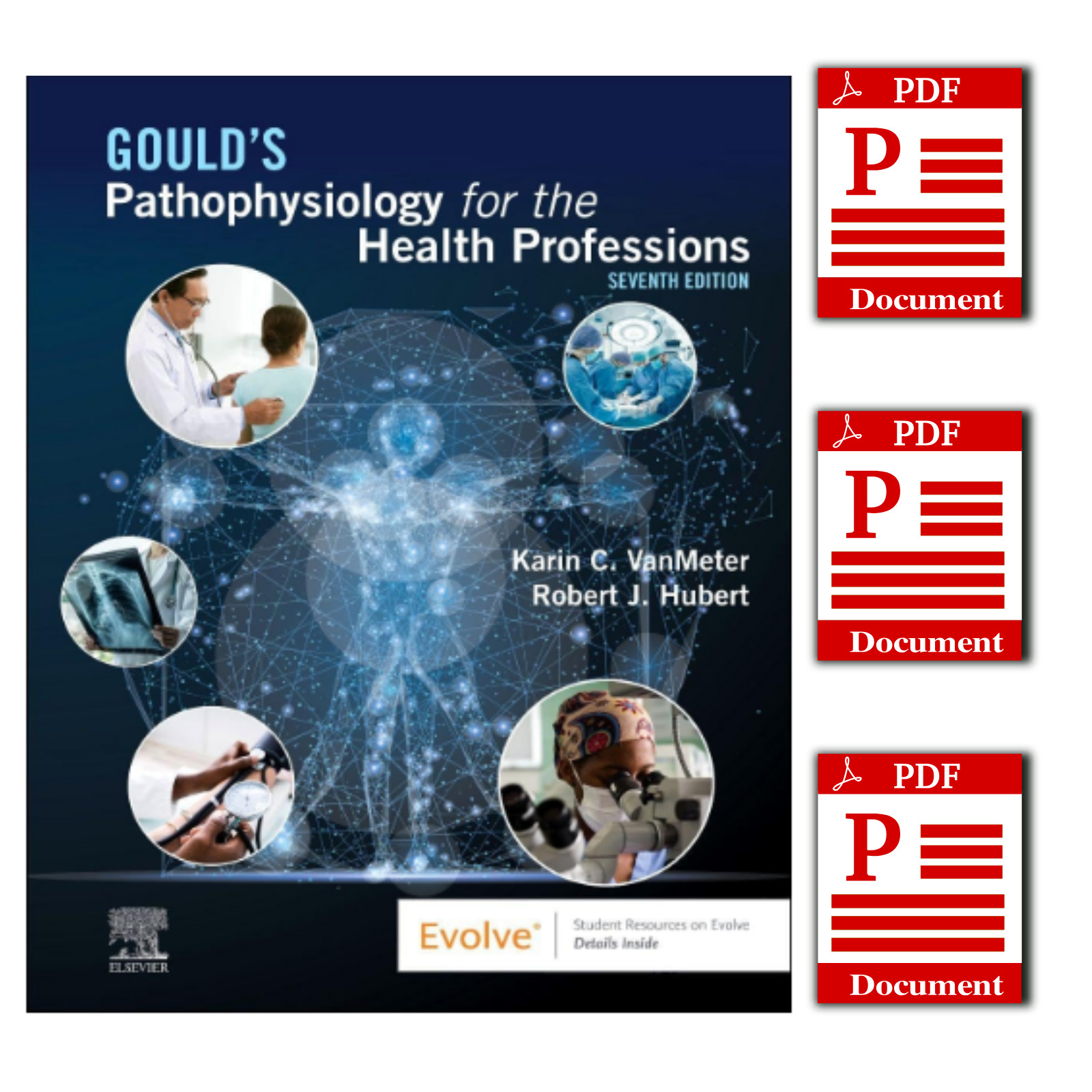 Gould's Pathophysiology for the Health Professions 7th Edition