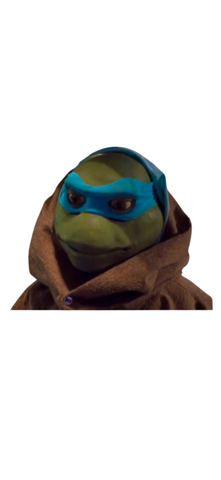 TeenageMutantNinjaTurtles.org 