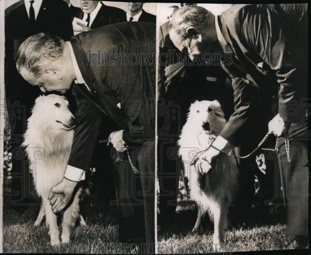 Wire President Johnson showed off his white Collie Blanco and others 7X8