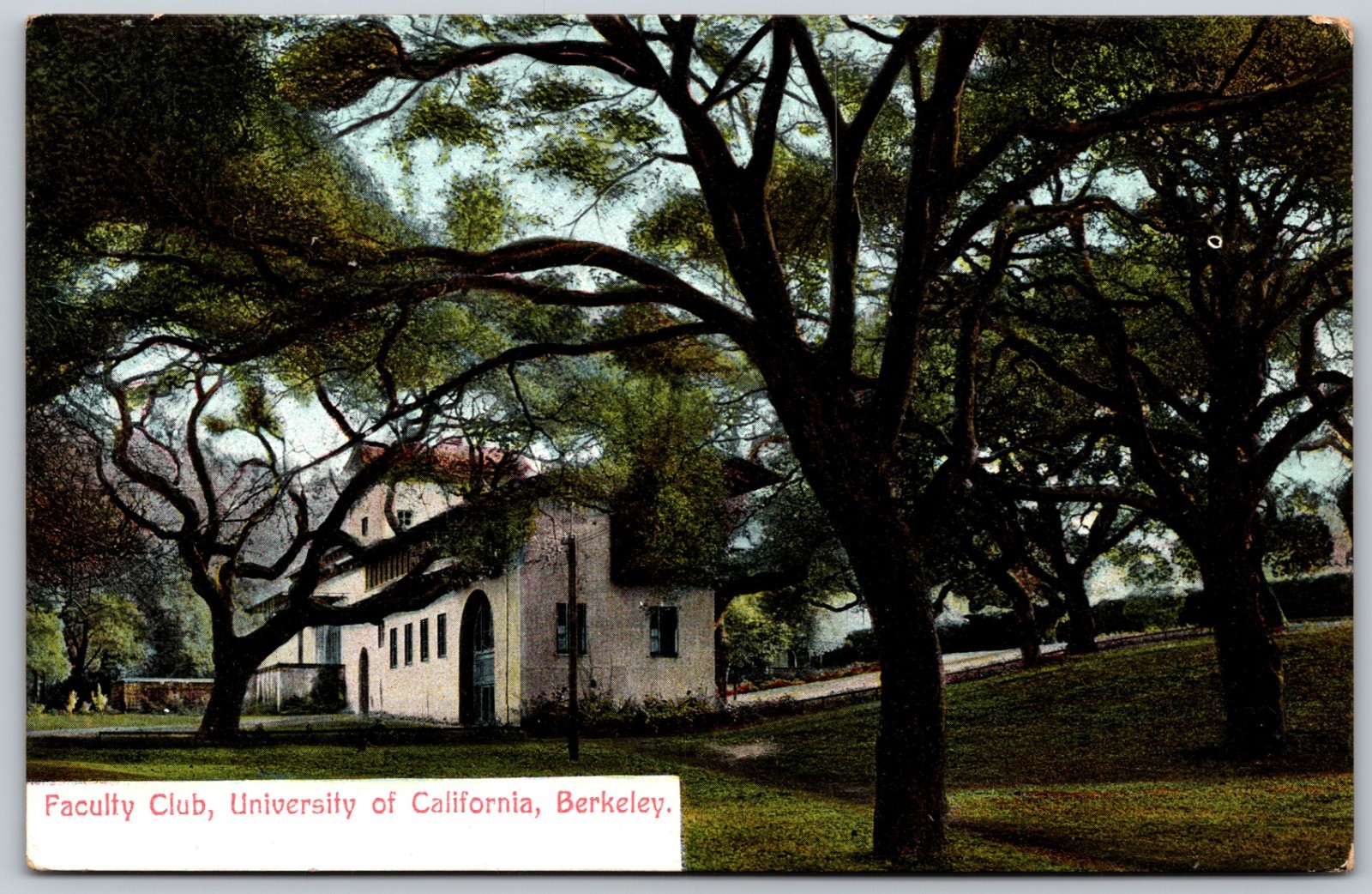 Faculty Club University of California Berkeley Unposted ANTIQUE Postcard 8723