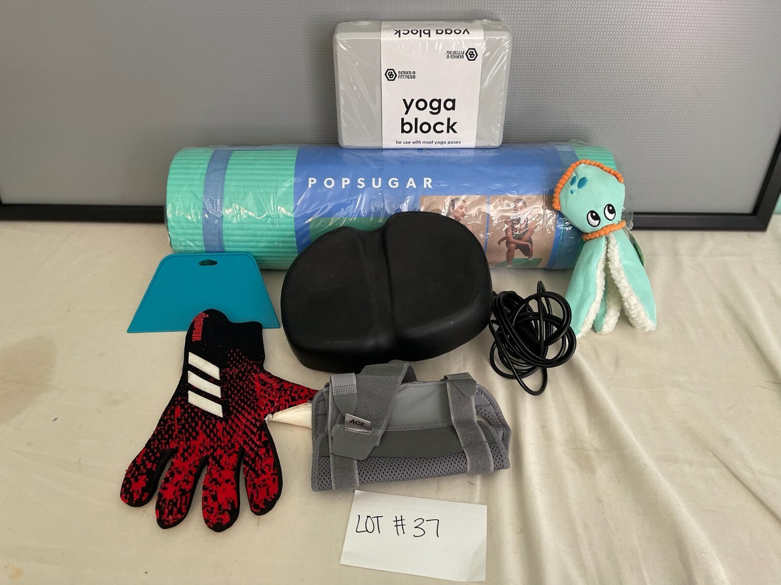 Lot of 8 Miscellaneous Active Sports Outdoor Items - Lot #37 - Yoga Bike Dog Toy