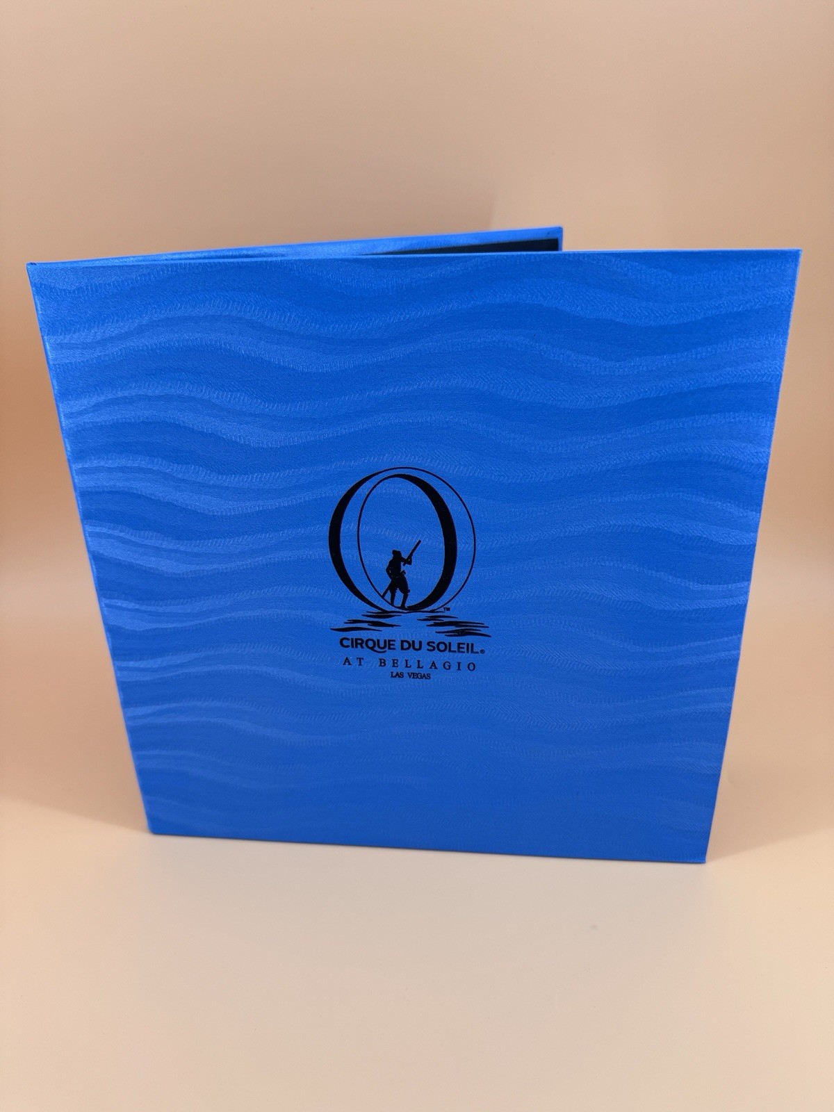 Cirque du Soleil O Photo Frame Las Vegas Bellagio Casino Hotel