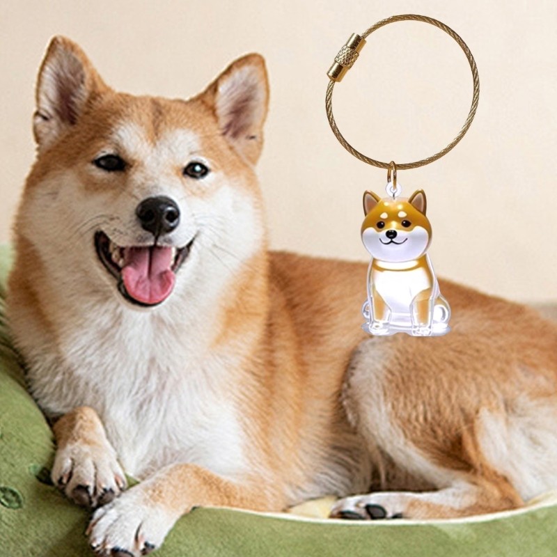 Pet Memorial Keychain Dog Hair Box For Preserving Dog Hair Or Cremation Ashes