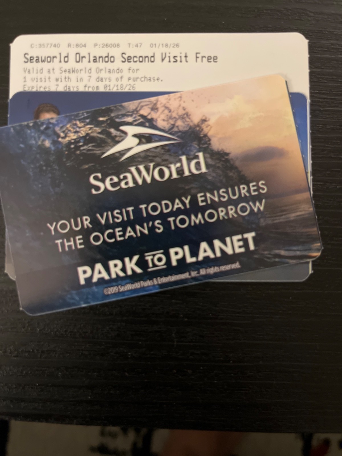 SeaWorld Orlando 1-Day Ticket: 3 Available