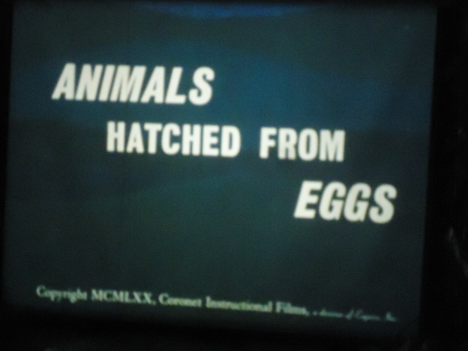 16mm  Animals That Hatch from Eggs Lpp Educational 400'