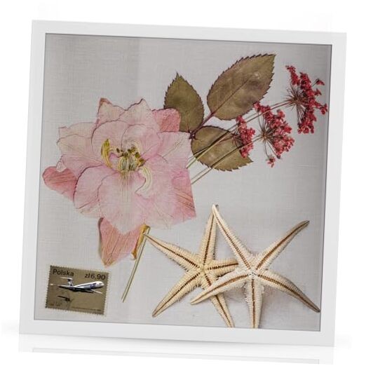  Shadow Box Frame 11 x 11 Shadowbox Display Case Picture Frame 11x11 White