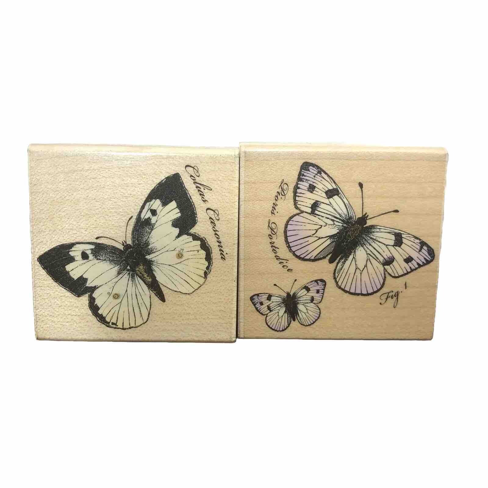 Realistic BUTTERFLY Rubber Stamp Hero Arts Botanical Print Style 2” Square Lot/2