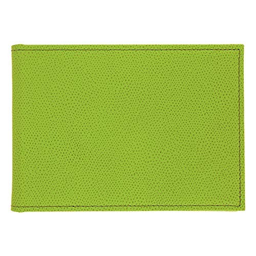 Itoya Color Chart: L-Size Horizontal Photo Frame 70 Morning Dew