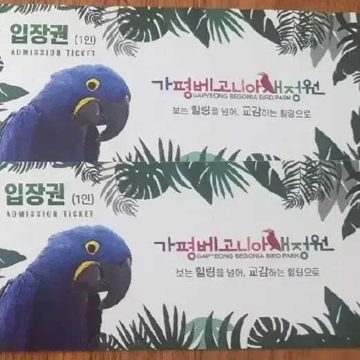 Gapy Begonia Garden Admission Ticket - 1 Ticket, Valid Until 2026.08.31