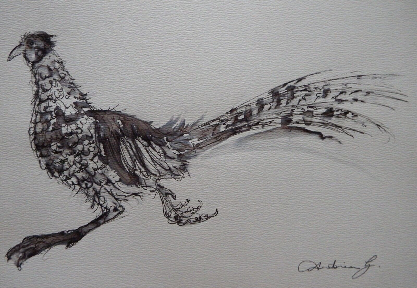 Ink Pheasant Drawing of a Pheasant Running