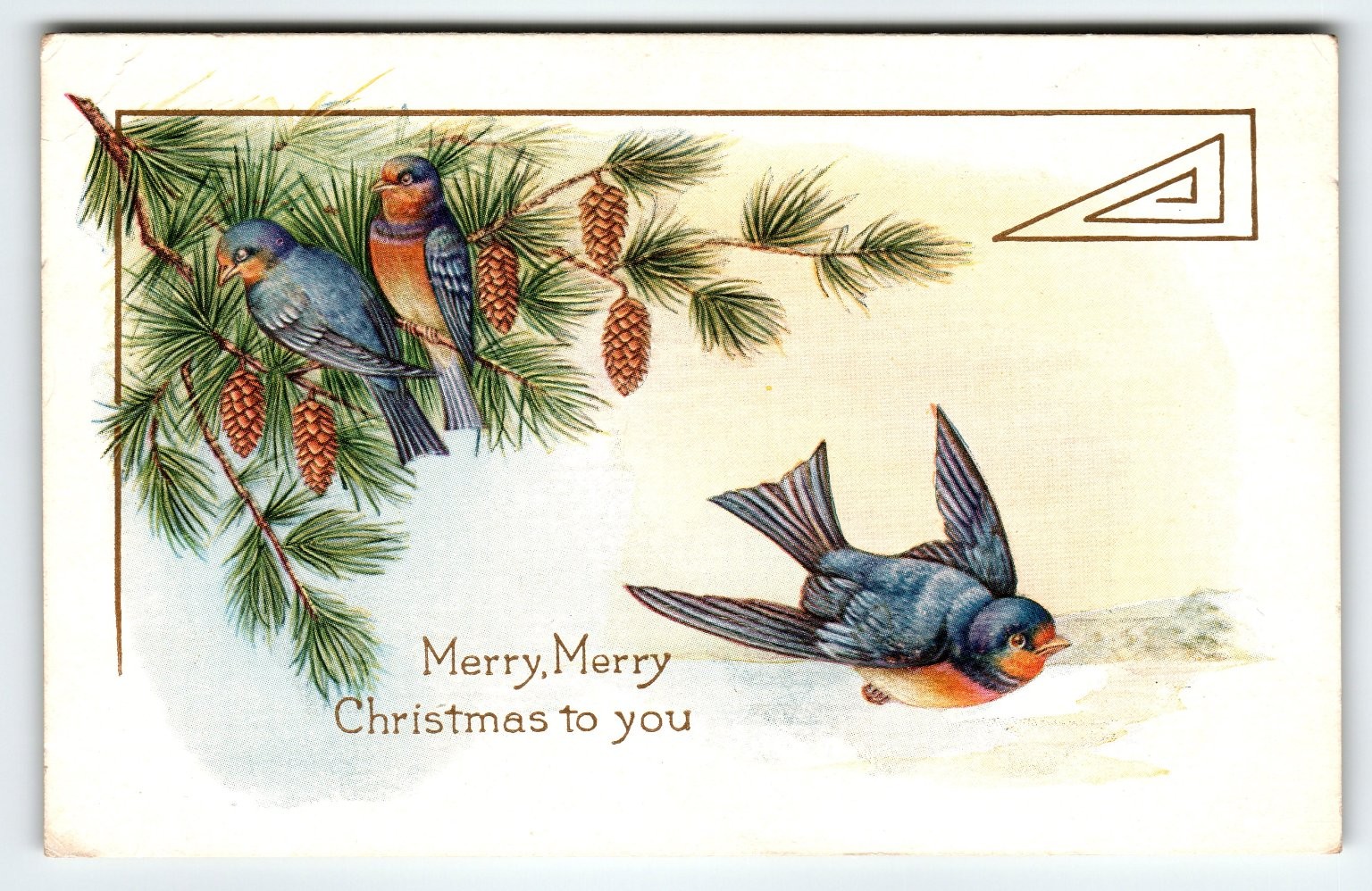 Vintage Antique Christmas Postcard Birds Pine Cones 8x6 Whitney Made