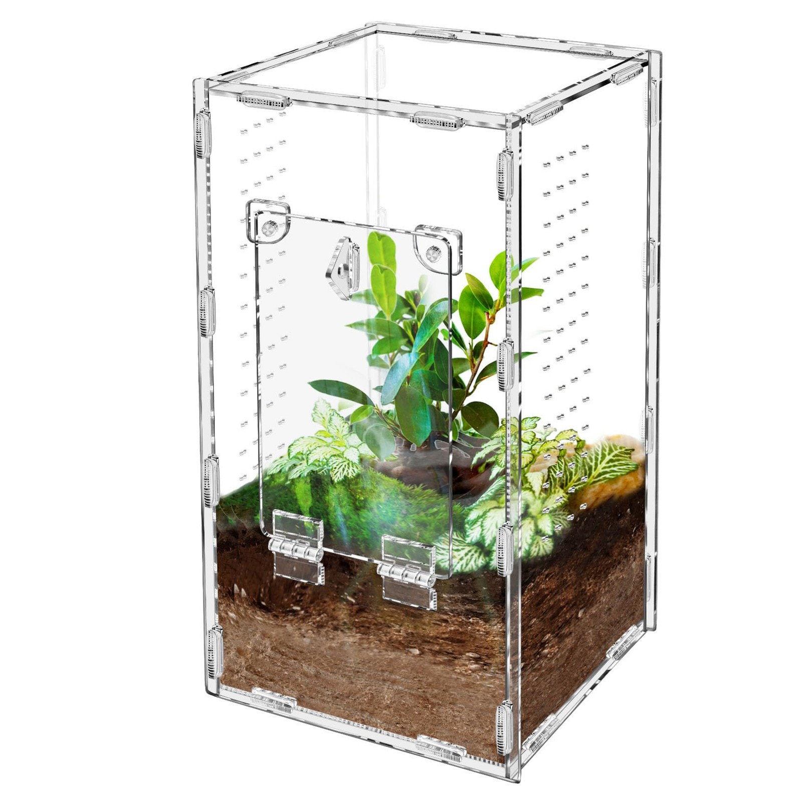 Jumping Spider Enclosure, Tarantula-Enclosure Large Large, Transparent 