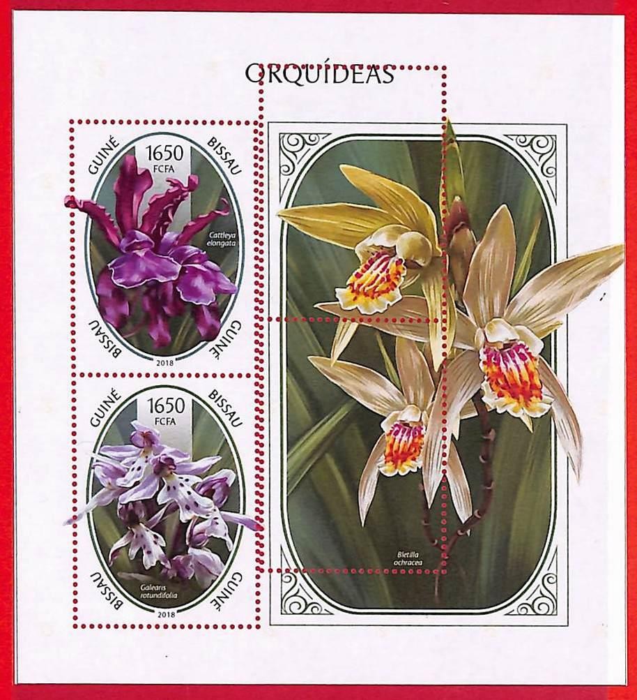 A5370 - GUINE-BISSAU - ERROR MISPERF Stamp Sheet - 2018 - ORCHIDS Flowers