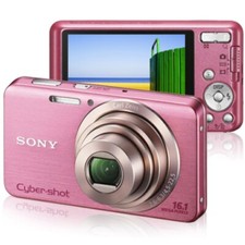 Sony Cyber-shot DSC-W630 16.1 MP Compact Digital Camera 
