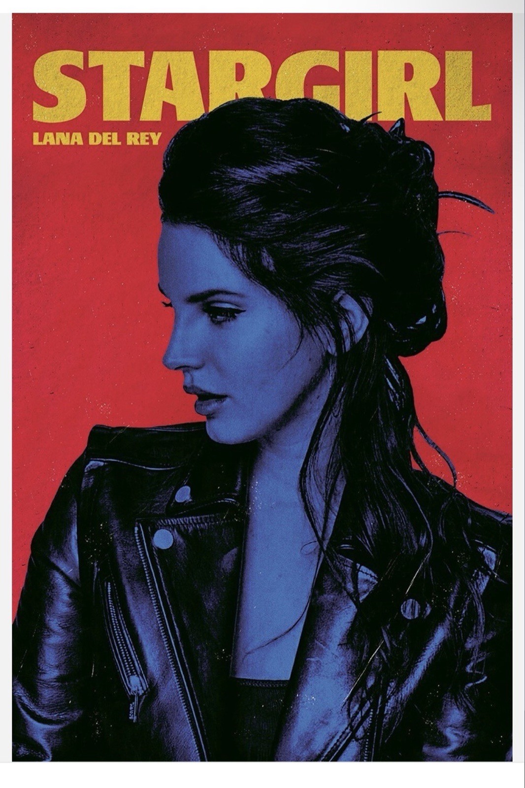 LANA DEL REY STAR GIRL 16 X 24 POSTER WALL ART AMERICA ARTIST NEW YORK
