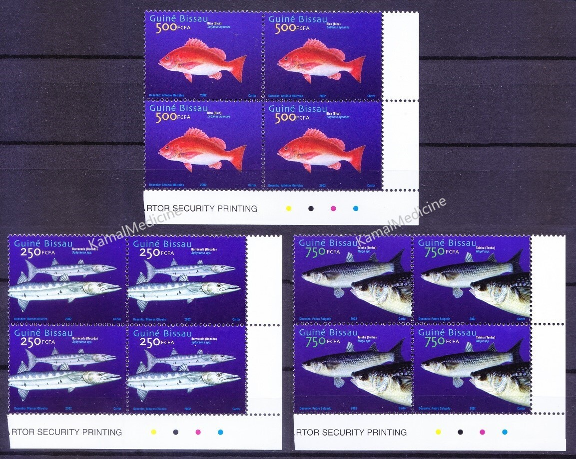 Guinea Bissau 2002 MNH 3v Blk RL, Fish Barracuda African Red Snapper Grey Mullet