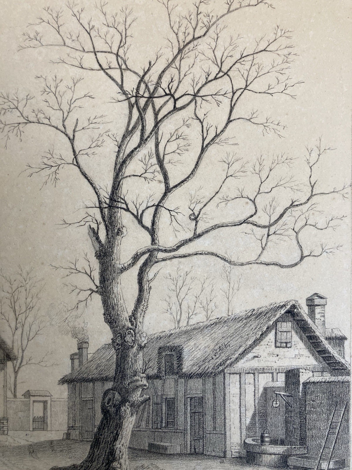 Very Nice Drawing Xixth 1850 Mine Lead Pencil Landscape Farm Hen Animal Art