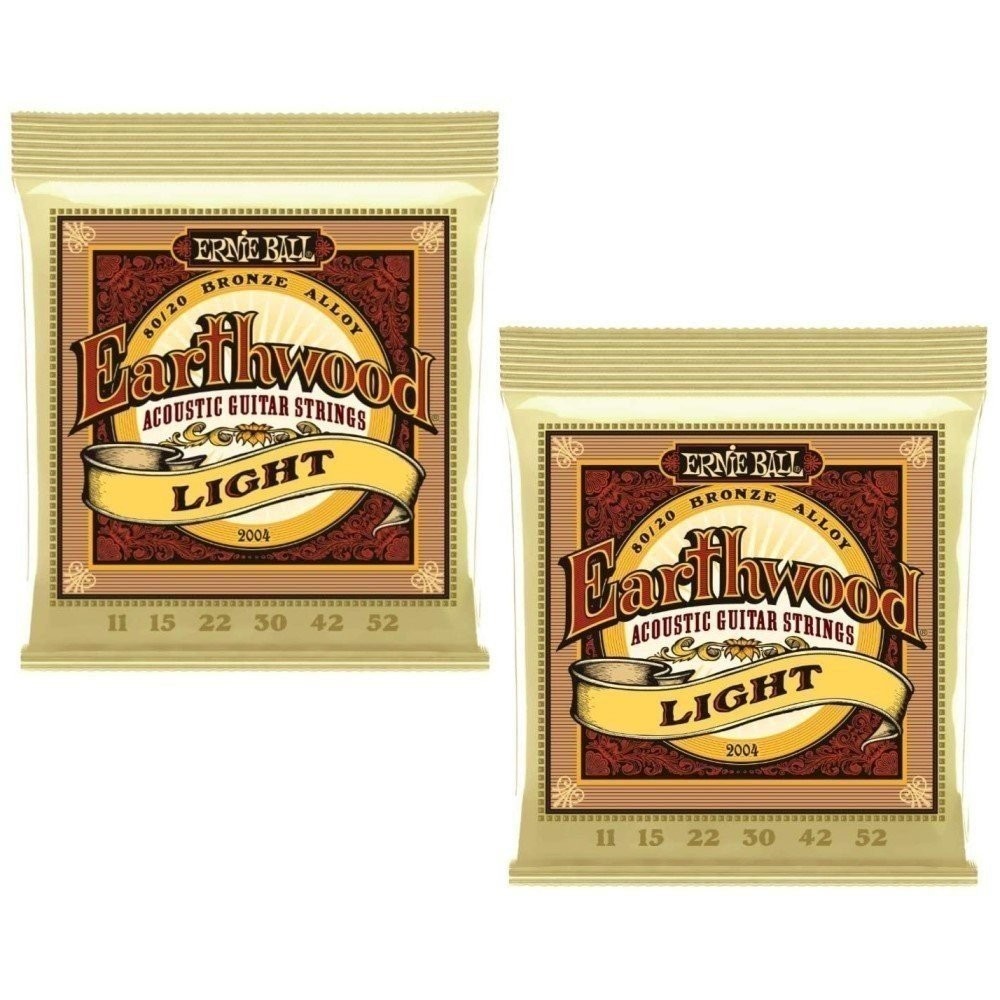 Ernie Ball Acoustic Guitar Strings Earthwood Light 80/20 Bronze P02004 2pk
