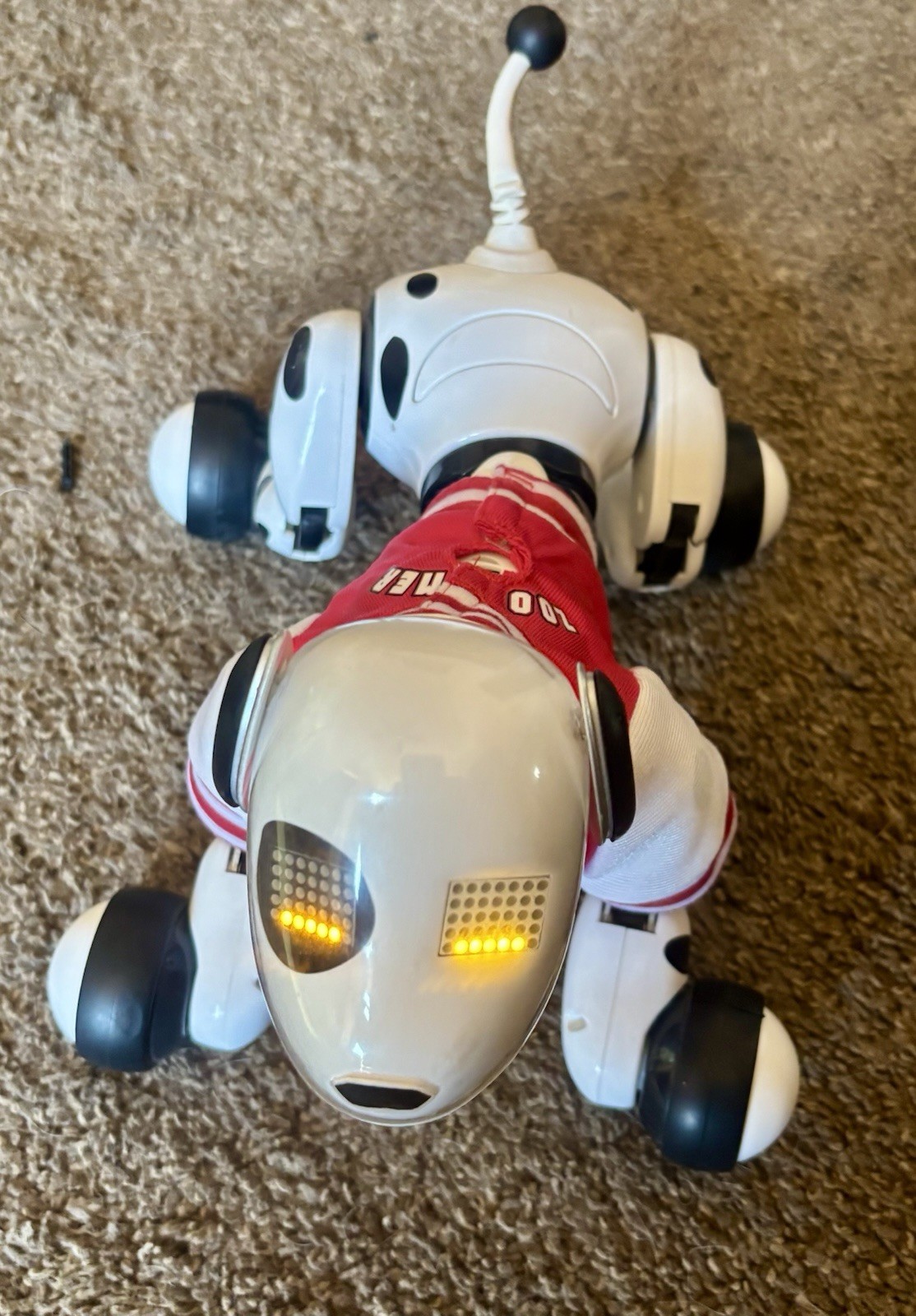 Zoomer Interactive Robotic Dalmatian Dog. ￼