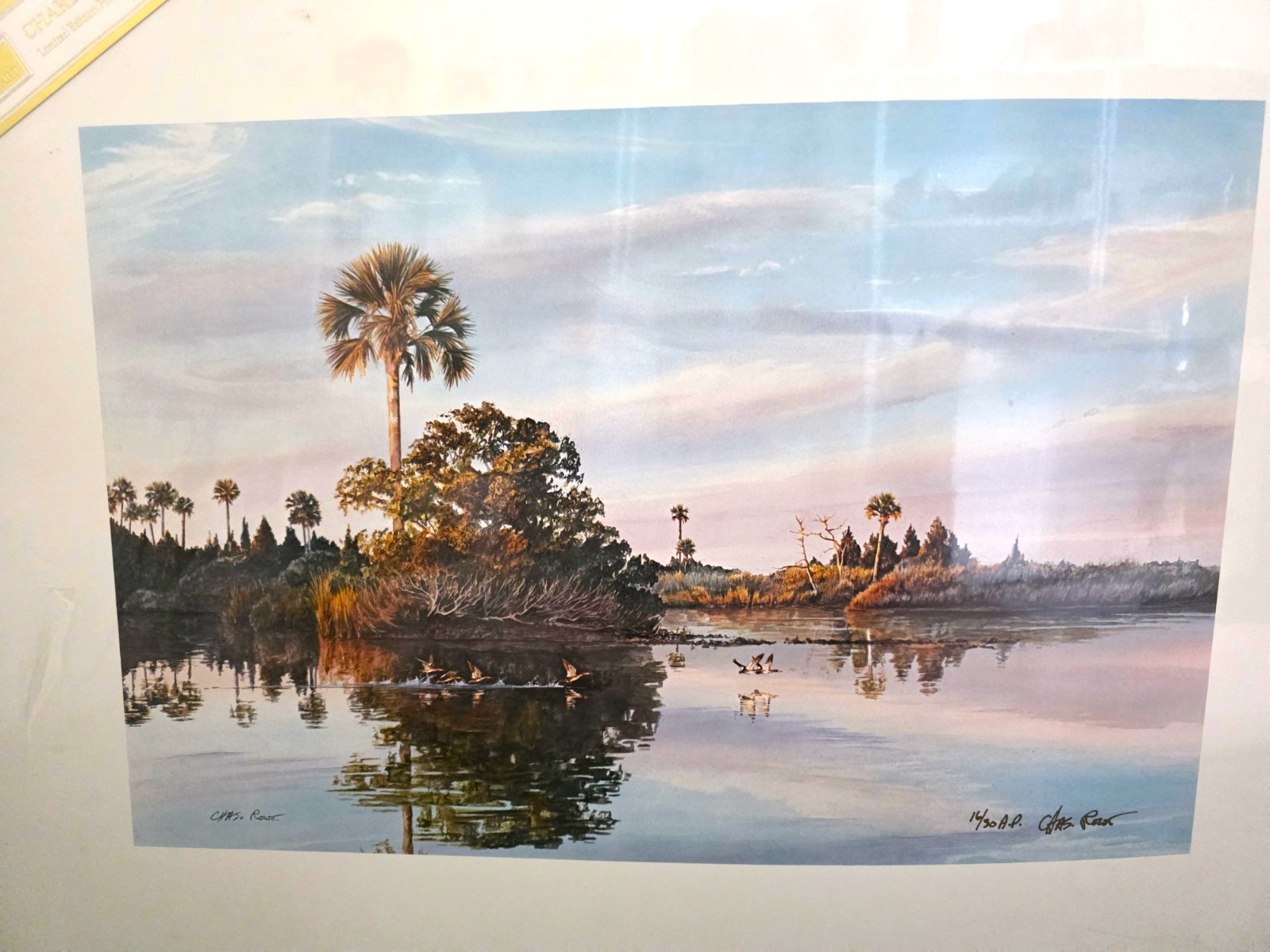 Charles Rowe Signed AP Limited Edition Print Evening Coast Mergansers 16/30