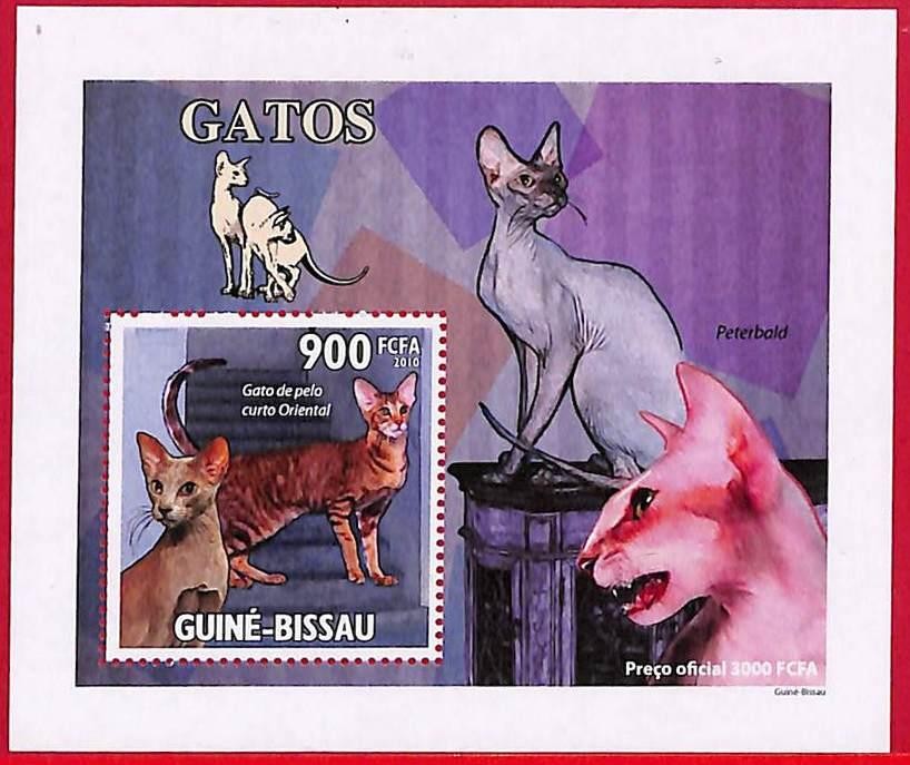 A5943 - GUINE-BISSAU - Stamp Sheet - 2010 - Cats
