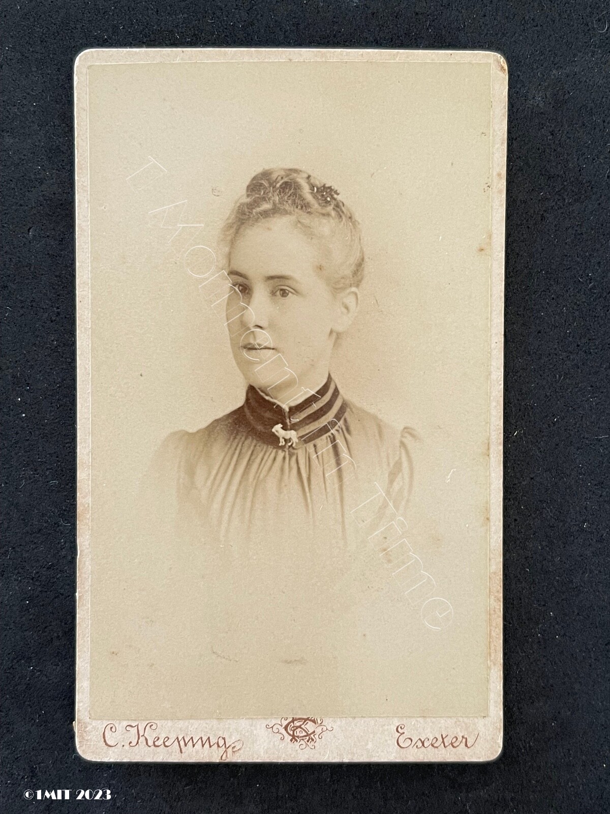 CDV Lady Jewellery Animal Brooch, by Keeping Exeter Victorian Fashion Photo