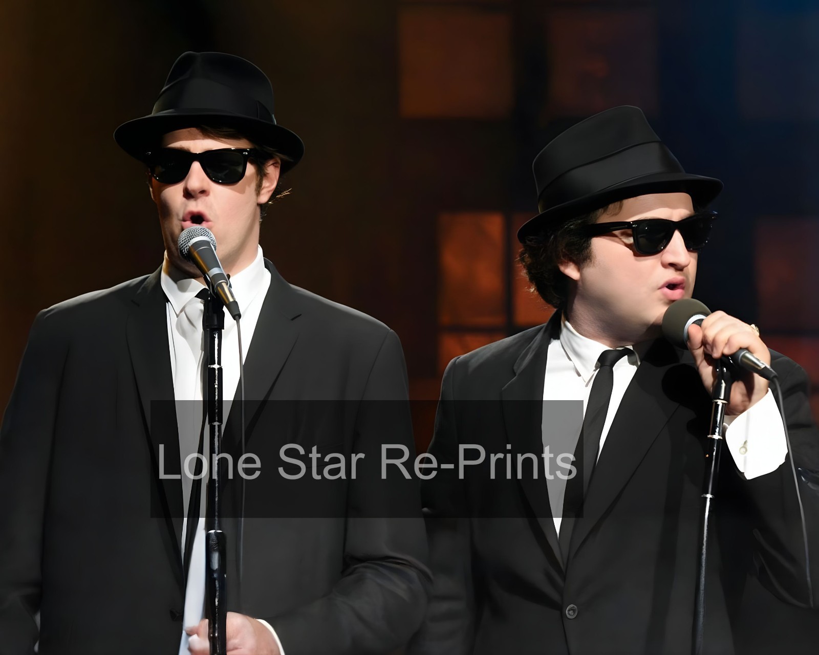 The Blues Brothers   8x10 Reprint