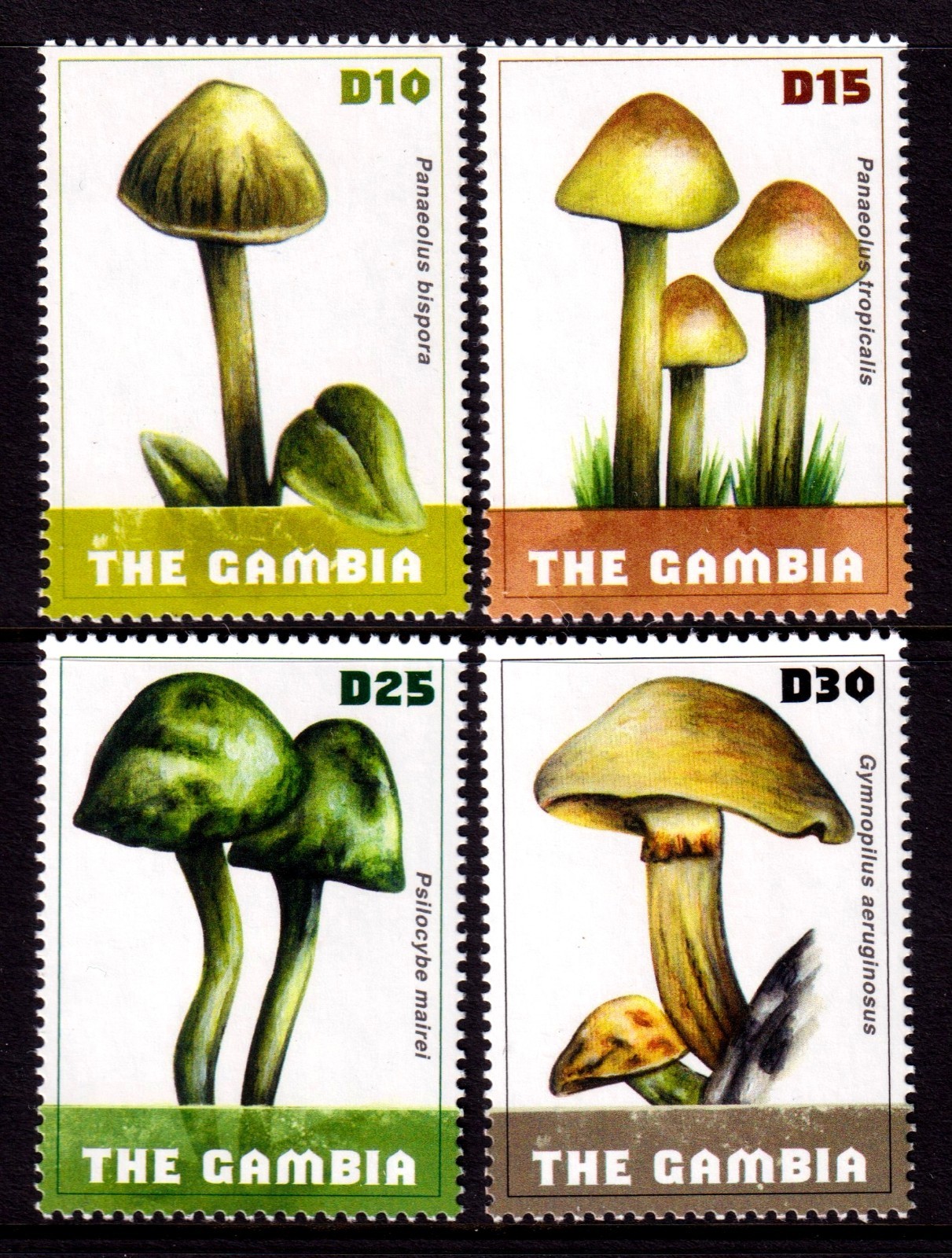 Gambia 2009 Mushrooms Complete Mint MNH Set SC 3216-3219