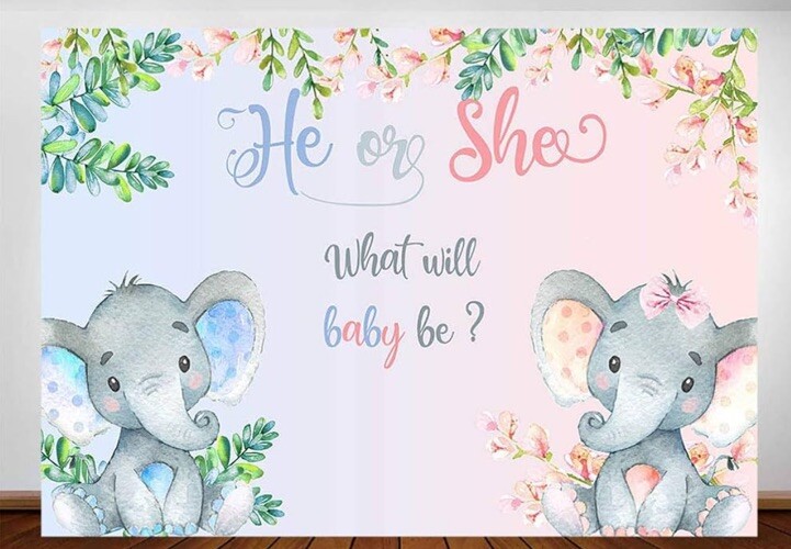 Elephant Gender Reveal Backdrop 7'x5' He or She What Will Baby Be Banner
