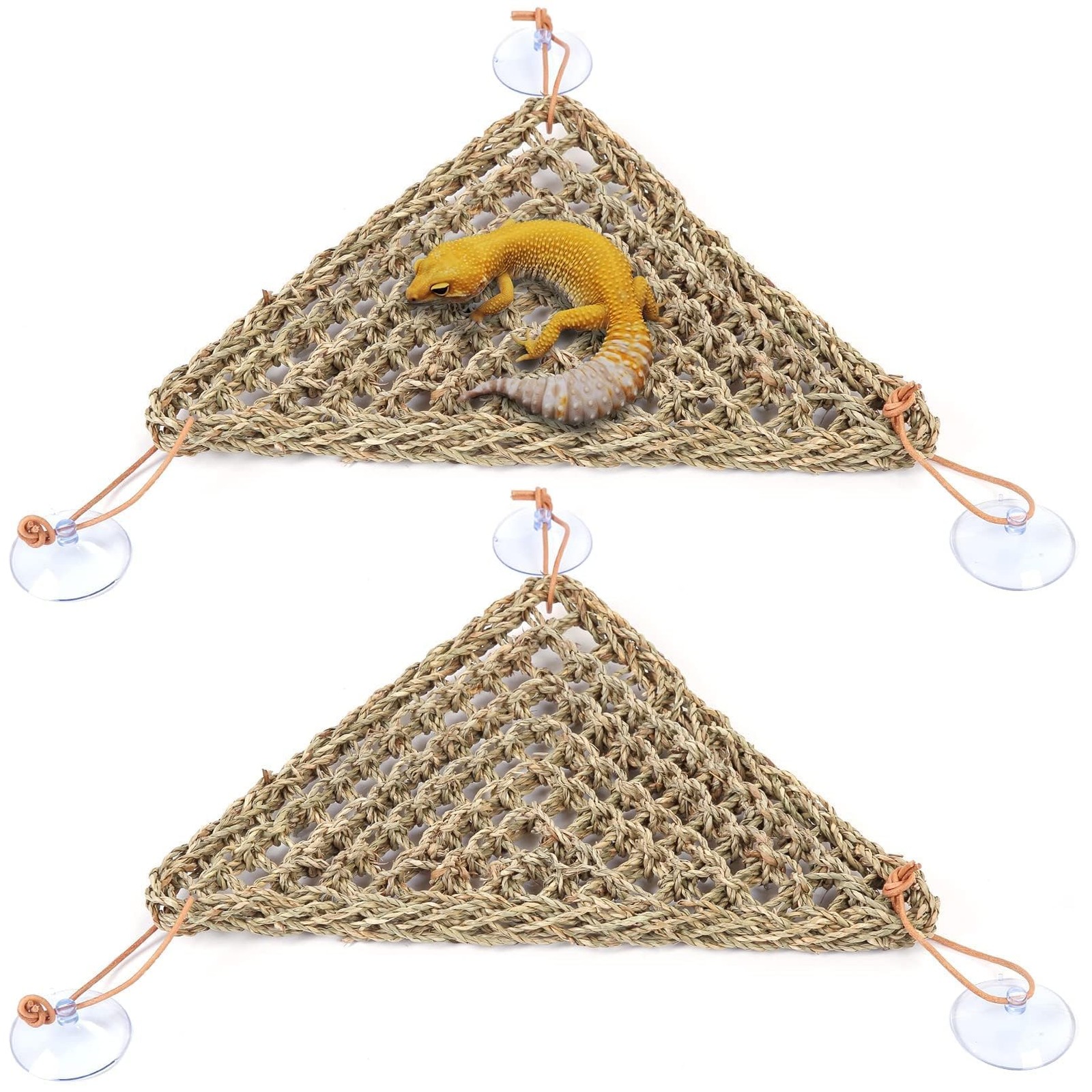 Bearded Dragon Hammock, Bearded Dragon Accessories, Natural Seagrass Reptile ...