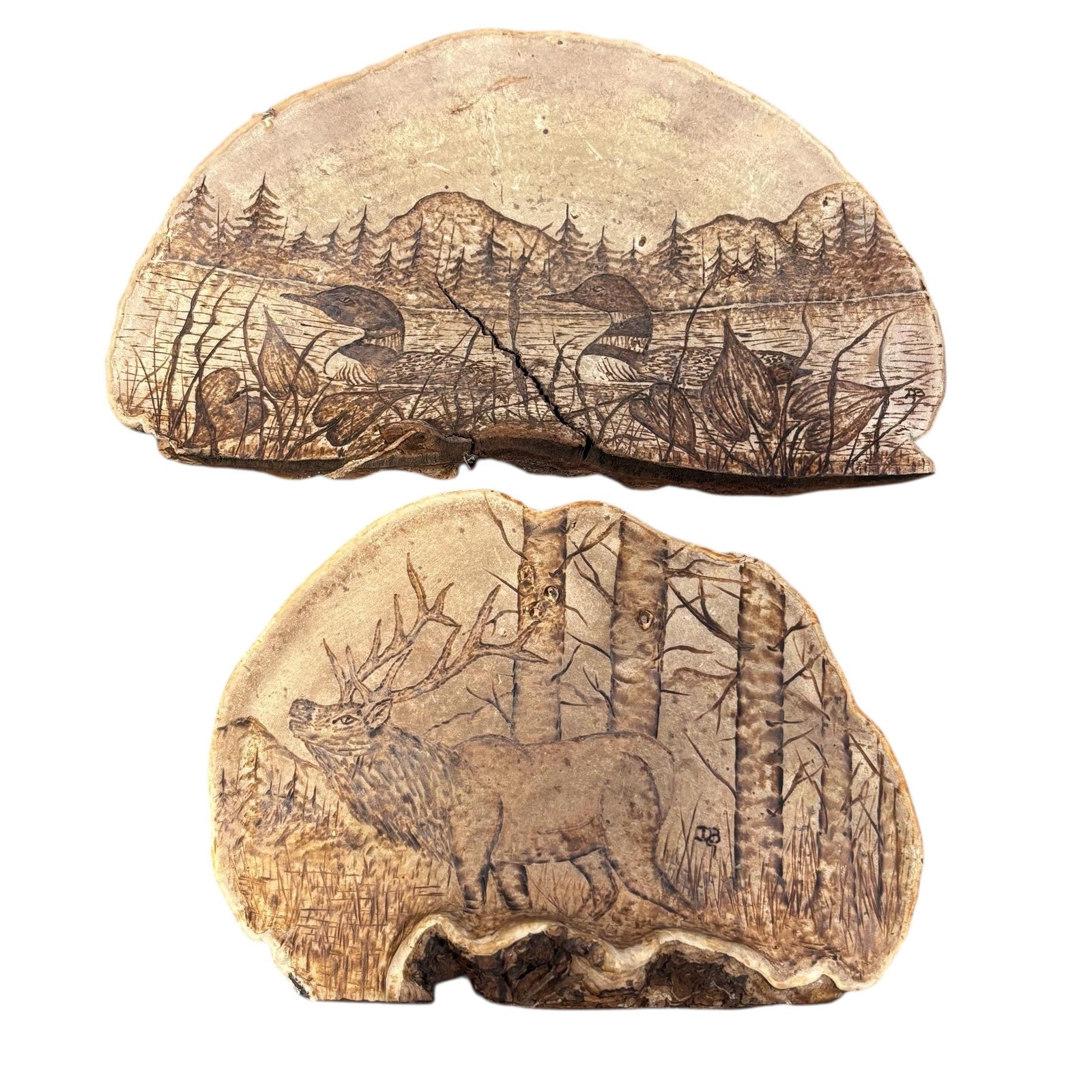 Wildlife Artist Conk Mushroom Pyrography Plaques Set of 2 Loon Elk Rustic Cabin