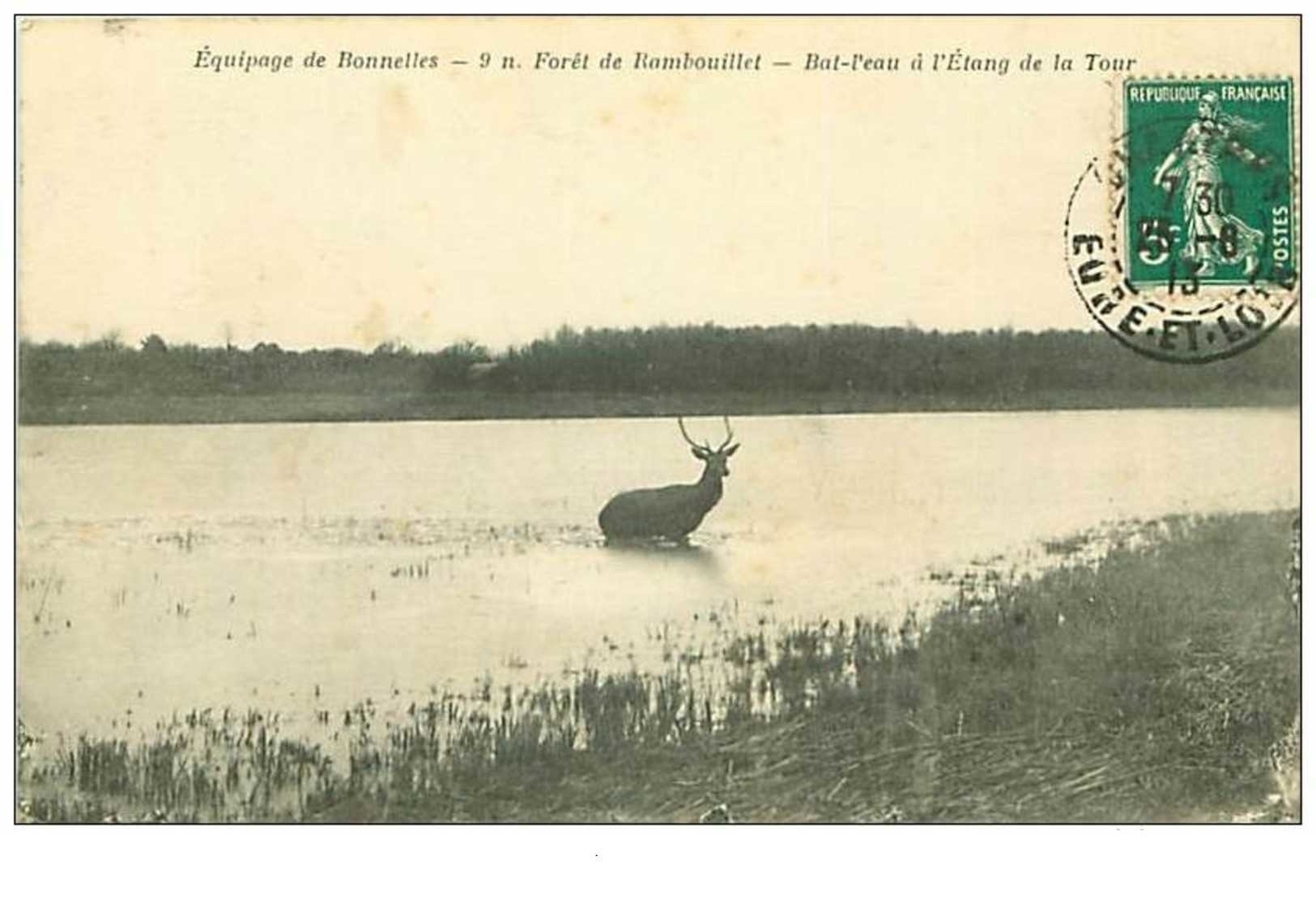 Hunting No. 3 Bonnelles Equipment 9 N Rambouillet Forest Water Bat At The Pond