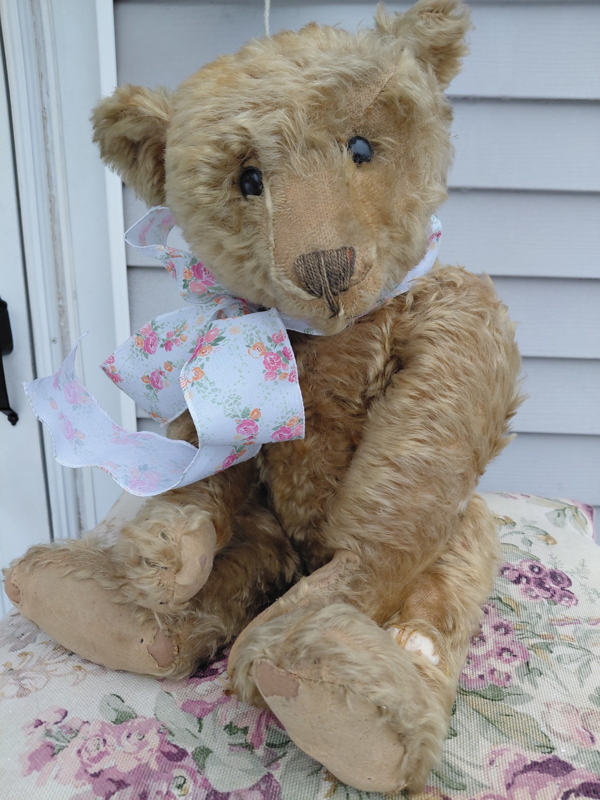 Gorgeous Antique 24 inch Steiff Bear~Finnegan