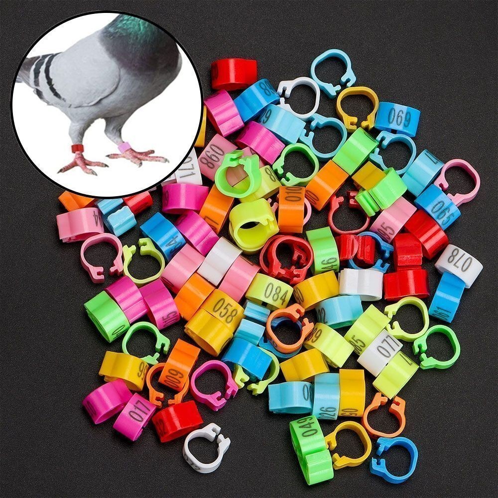 100PCS Bird Rings Leg Bands For Pigeon Parrot Finch Hatch Poultry Clip Rings US