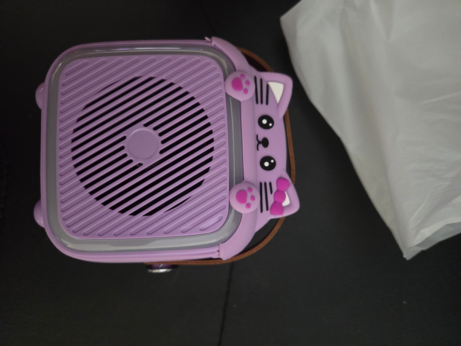 Mini Portabke Karaoke Machine for Kids Purple Cat, Bluetooth USB  Multi Mic